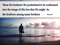 Predestined by God
